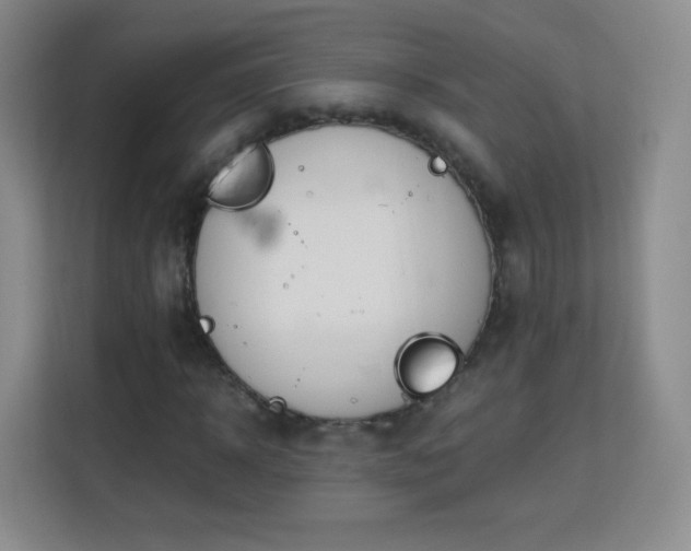 X0000113150918200909110951