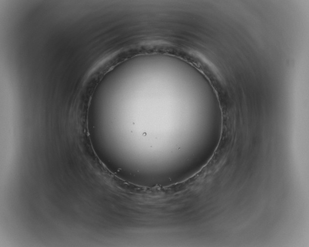 X0000113150919200909110951