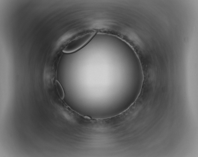 X0000113150920200909110951