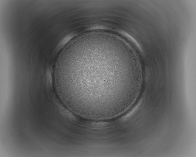 X0000113150921200909110951