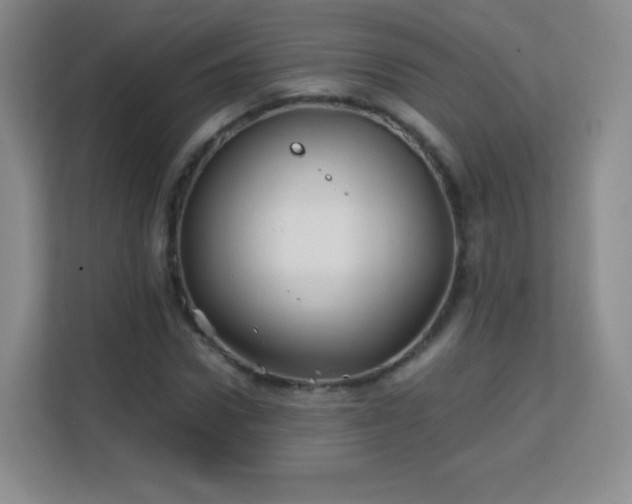 X0000113150922200909110951