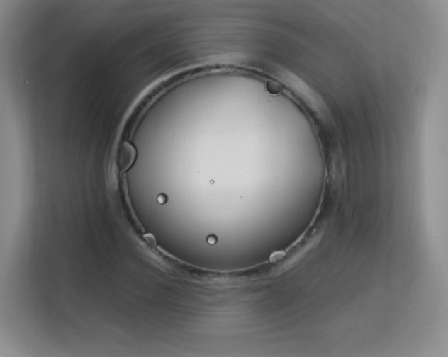 X0000113150924200909110951