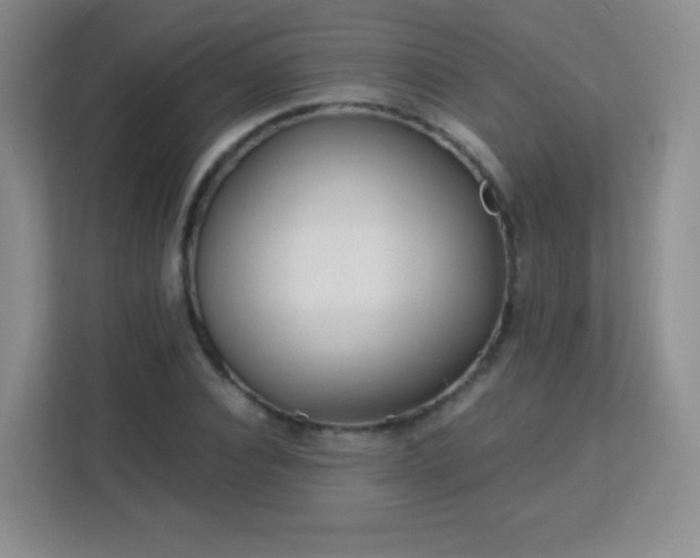 X0000113150928200909110951