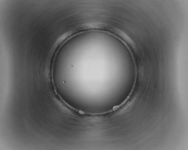 X0000113150930200909110951