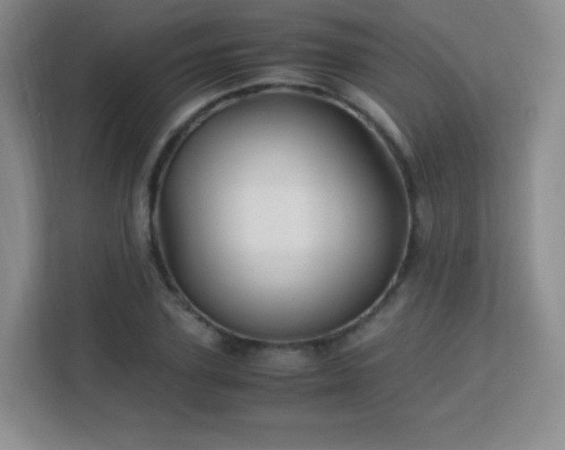 X0000113150931200909110951