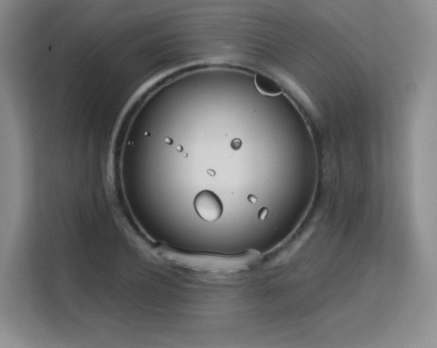 X0000113150932200909110951