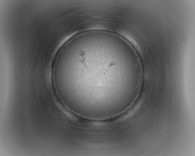 X0000113150933200909110951