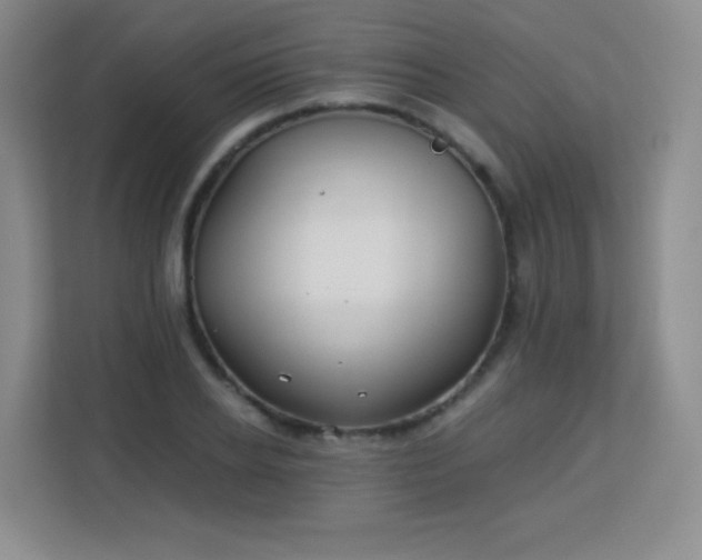 X0000113150934200909110951