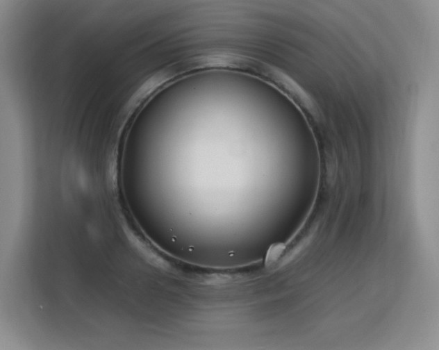 X0000113150938200909110951