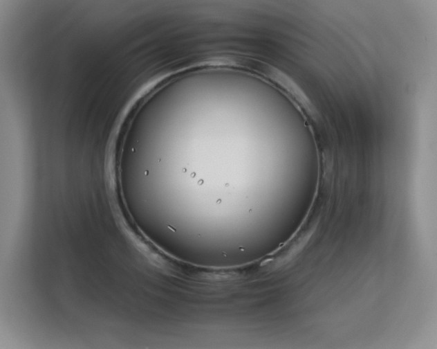 X0000113150939200909110951