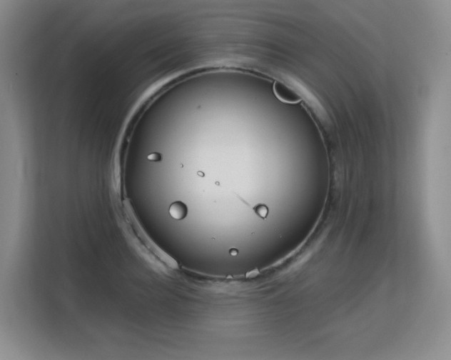 X0000113150940200909110951