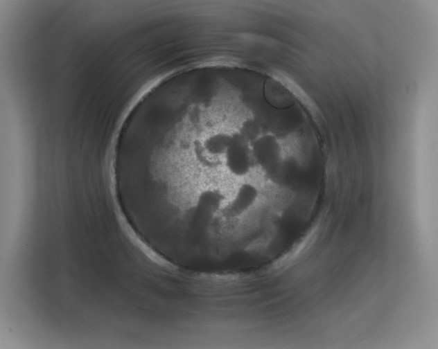 X0000113150941200909110951