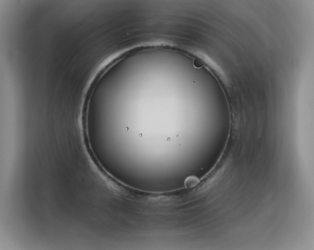 X0000113150943200909110951