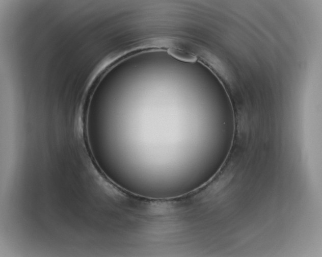 X0000113150944200909110951