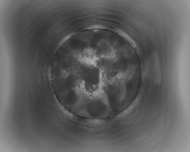 X0000113150945200909110951