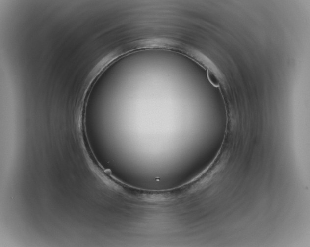 X0000113150946200909110951