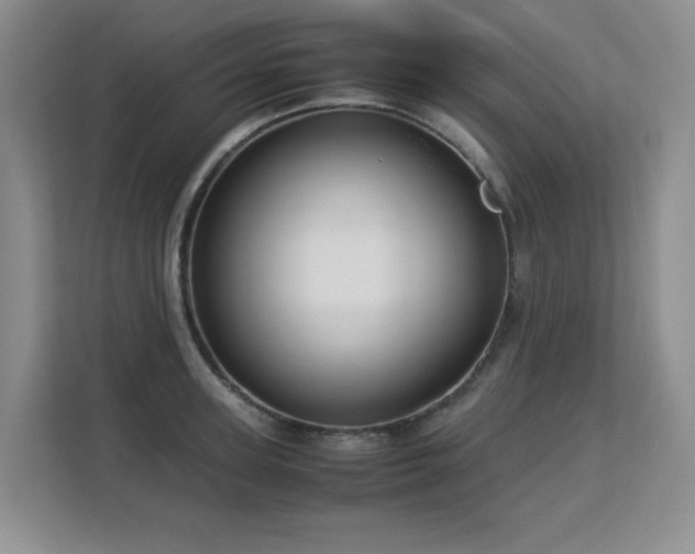 X0000113150947200909110951