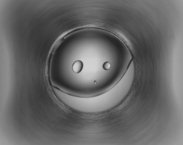 X0000113150948200909110951