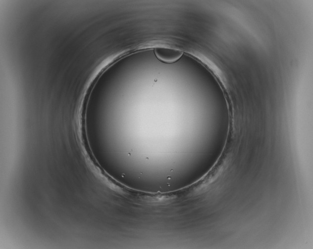 X0000113150949200909110951