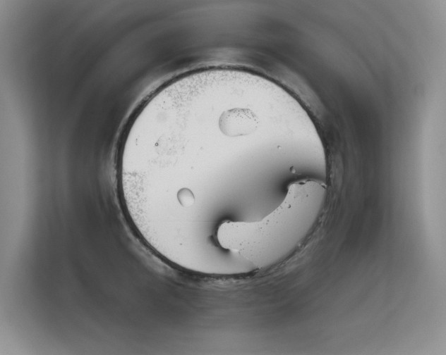 X0000113150950200909110951