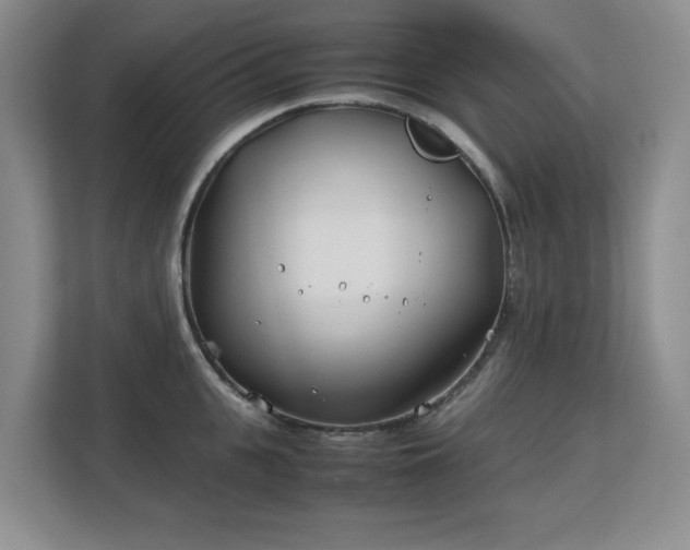 X0000113150951200909110951