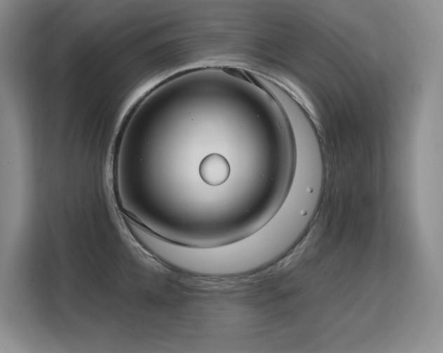 X0000113150952200909110951