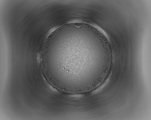 X0000113150953200909110951