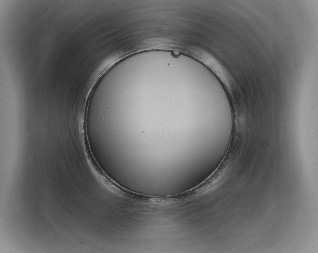 X0000113150954200909110951