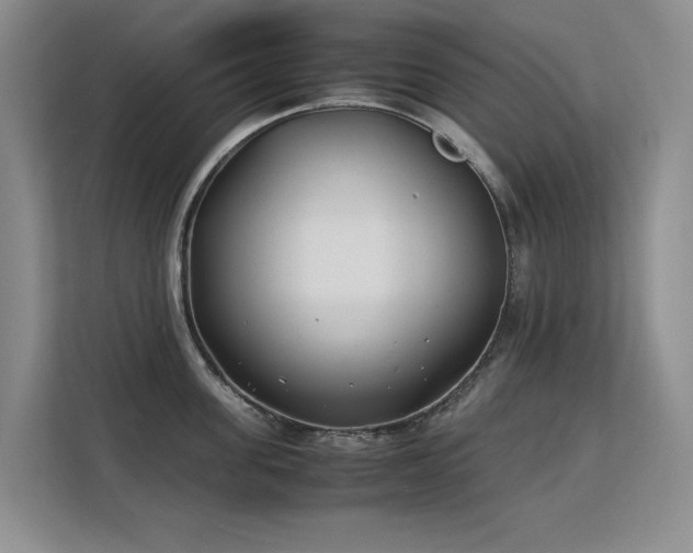 X0000113150955200909110951