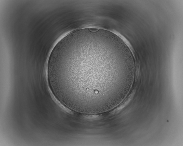 X0000113150957200909110951