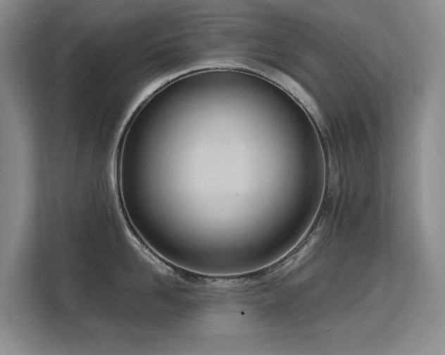 X0000113150958200909110951