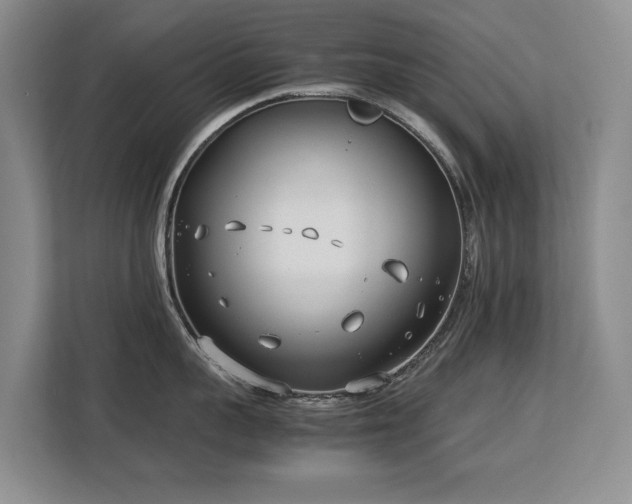 X0000113150959200909110951