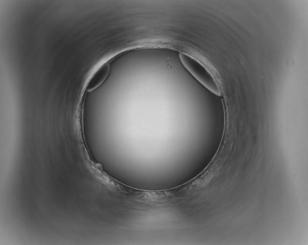 X0000113150960200909110951