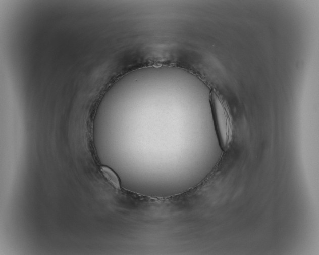 X0000113150961200909110951