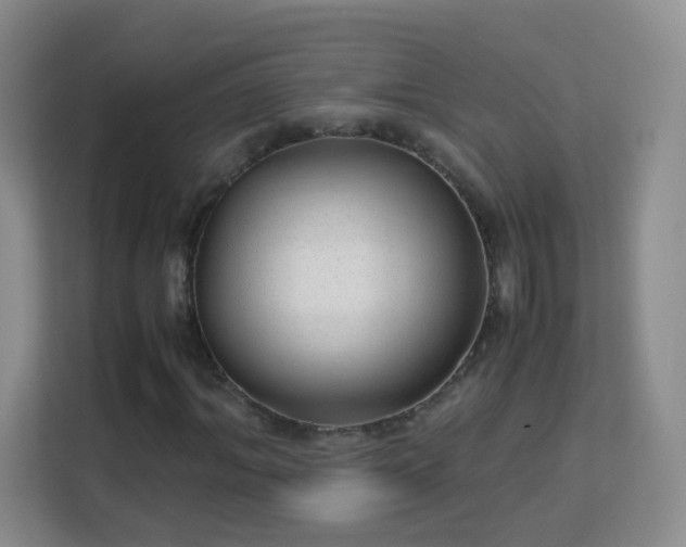 X0000113150964200909110951