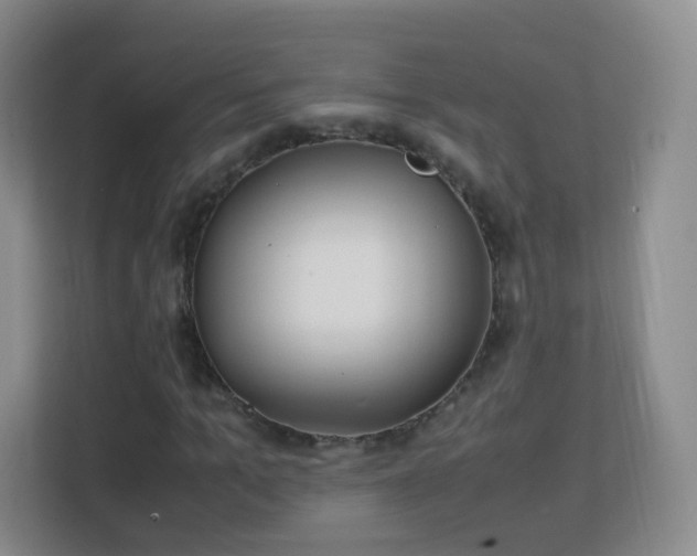 X0000113150965200909110951