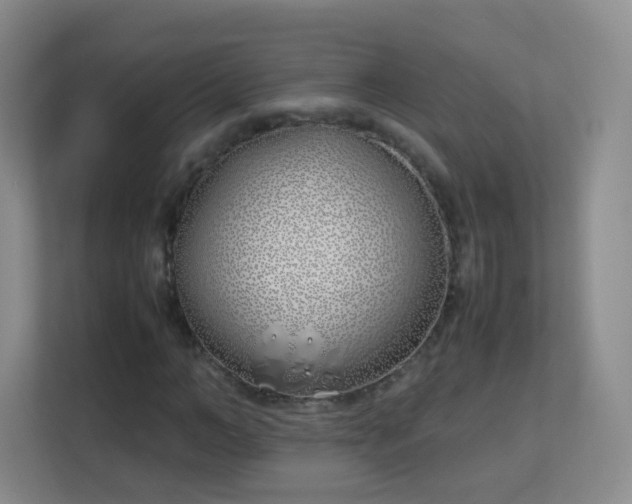 X0000113150966200909110951