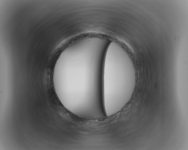 X0000113150968200909110951