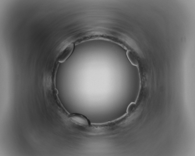 X0000113150969200909110951