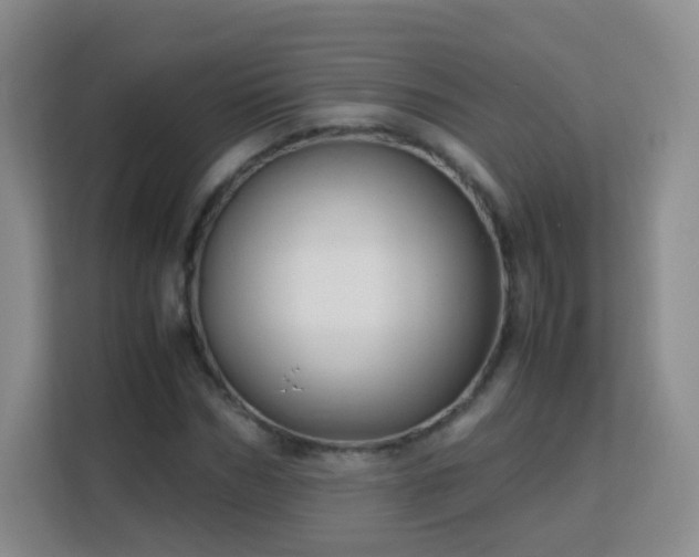 X0000113150970200909110951