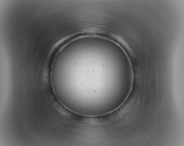 X0000113150971200909110951