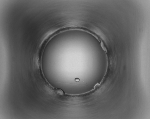 X0000113150973200909110951