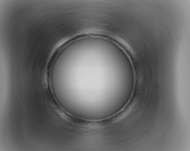 X0000113150974200909110951