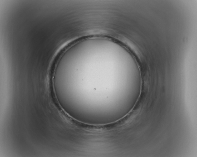 X0000113150975200909110951