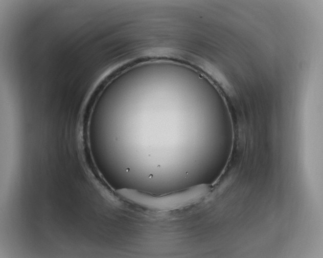 X0000113150976200909110951