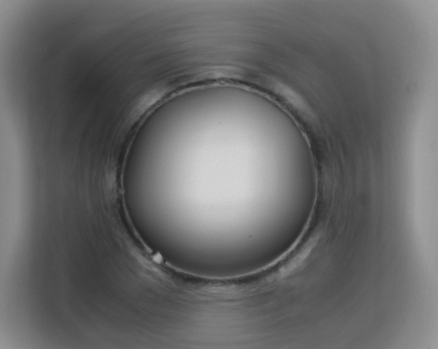 X0000113150977200909110951