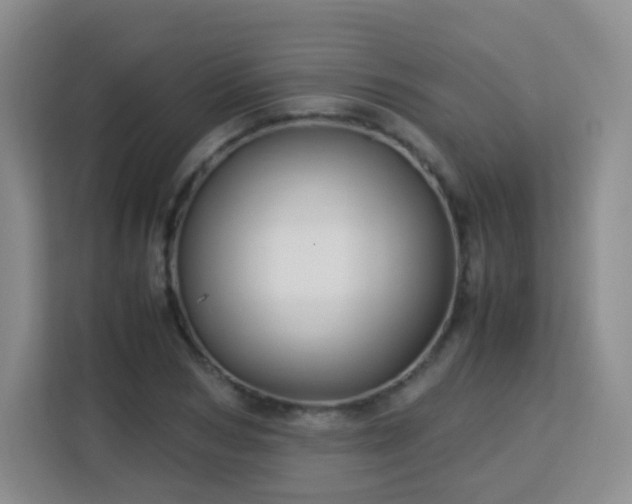 X0000113150978200909110951