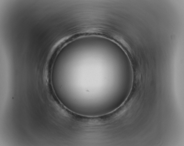 X0000113150979200909110951