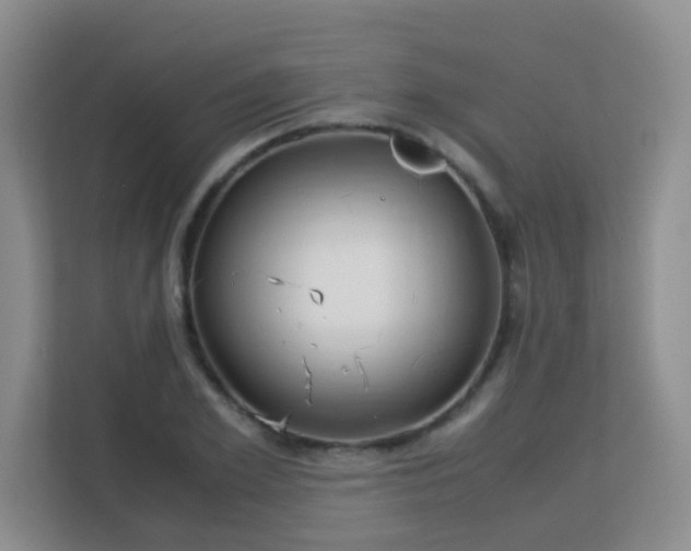 X0000113150981200909110950