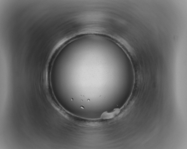 X0000113150982200909110950